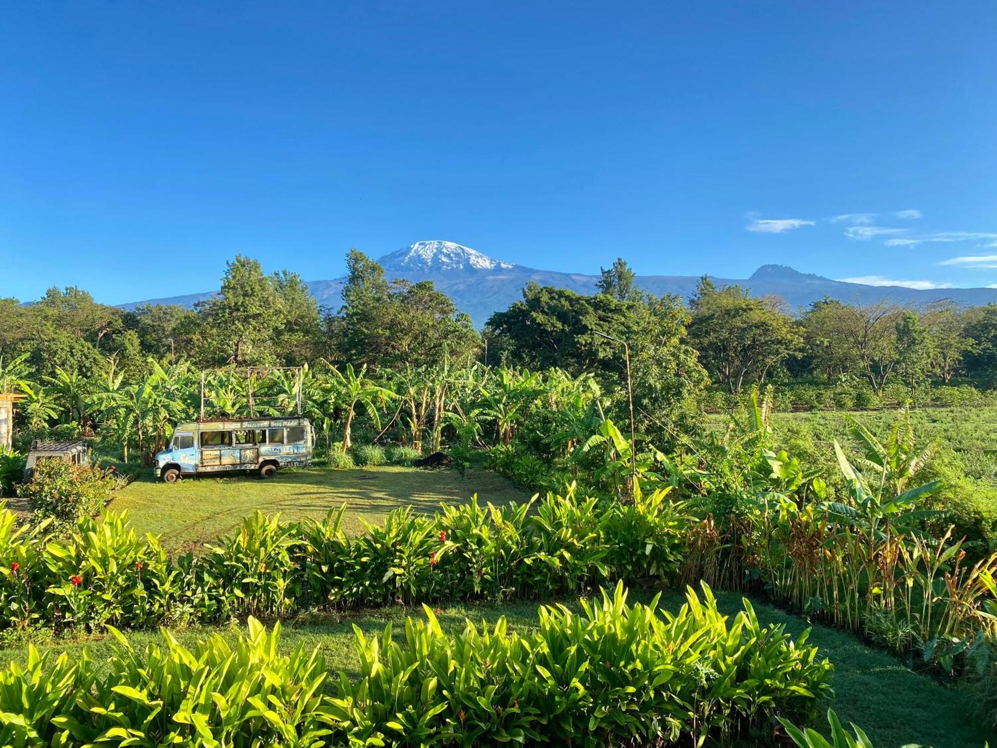 Mount Kilimanjaro 360 View Cottage Uru Exteriör bild