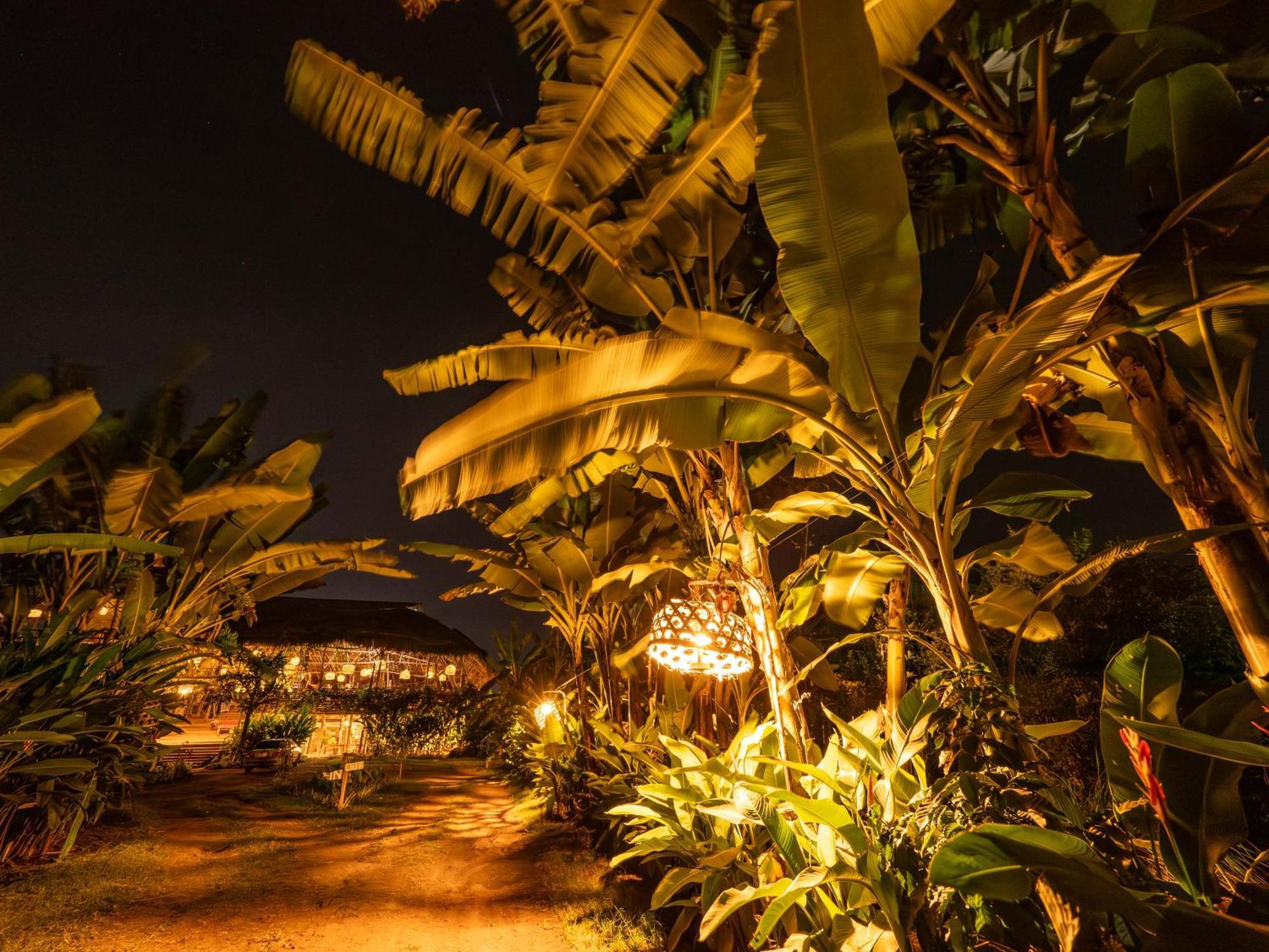 Mount Kilimanjaro 360 View Cottage Uru Exteriör bild