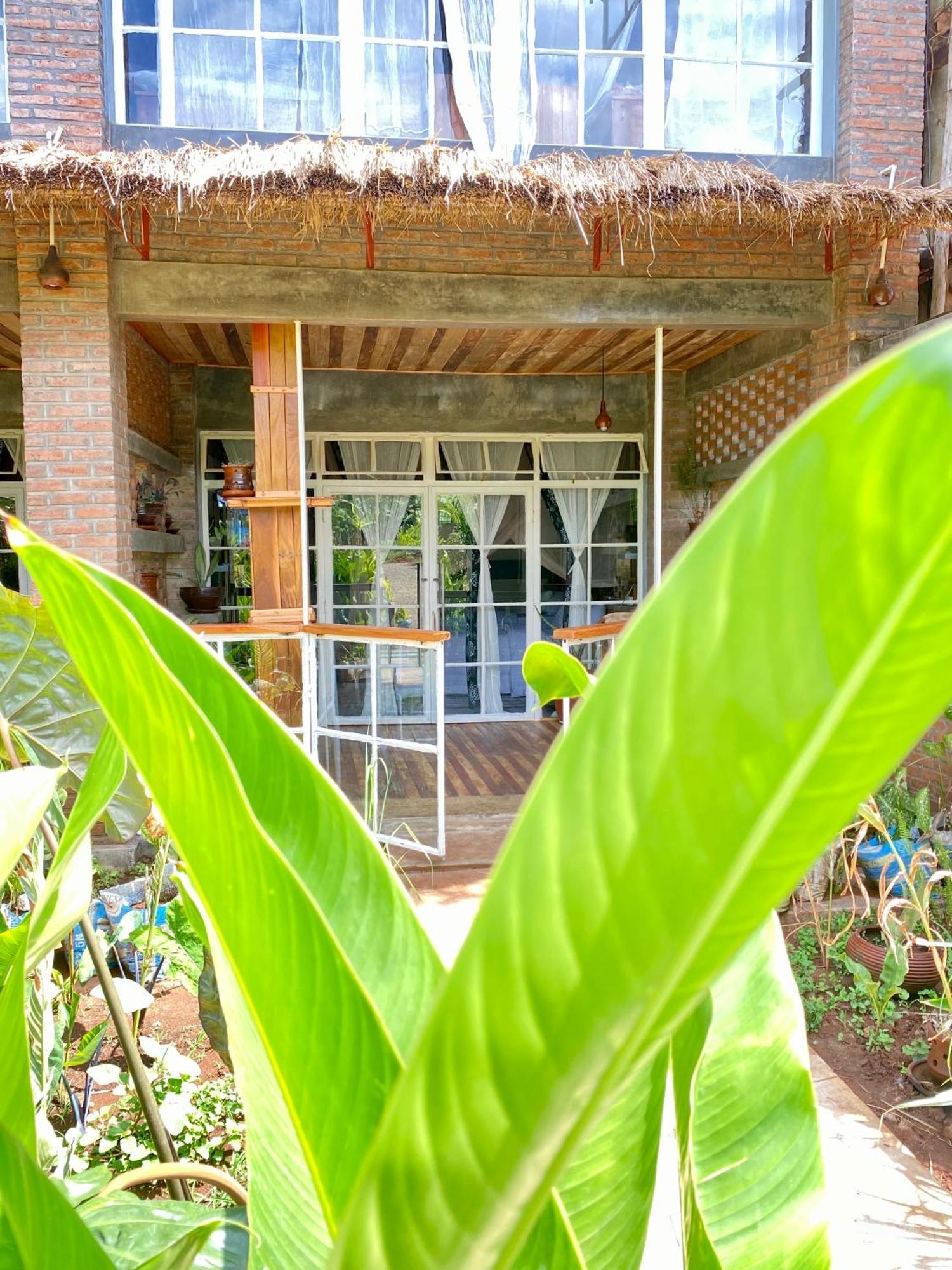 Mount Kilimanjaro 360 View Cottage Uru Exteriör bild