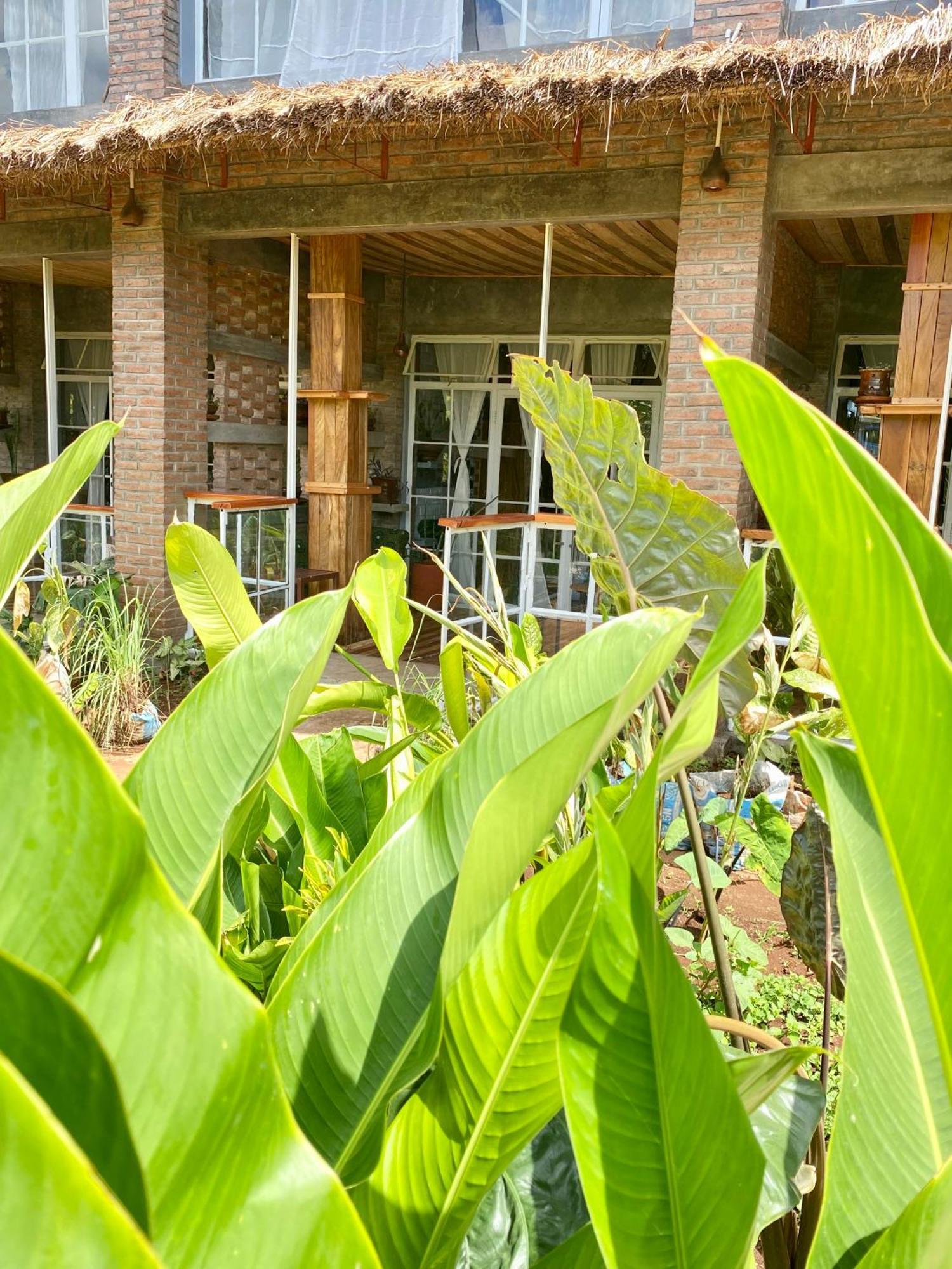 Mount Kilimanjaro 360 View Cottage Uru Exteriör bild
