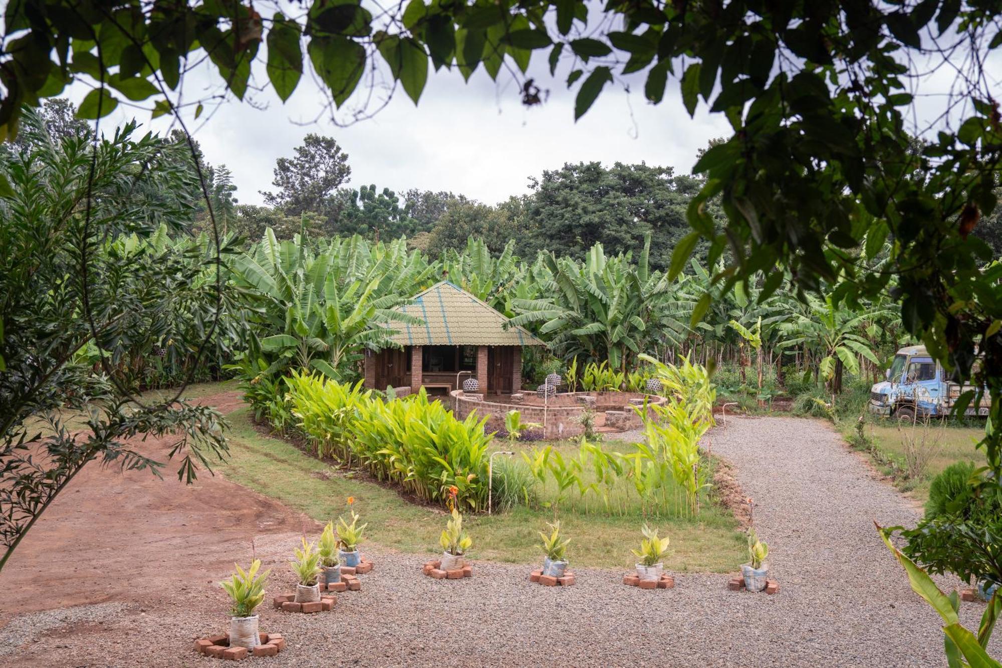 Mount Kilimanjaro 360 View Cottage Uru Exteriör bild