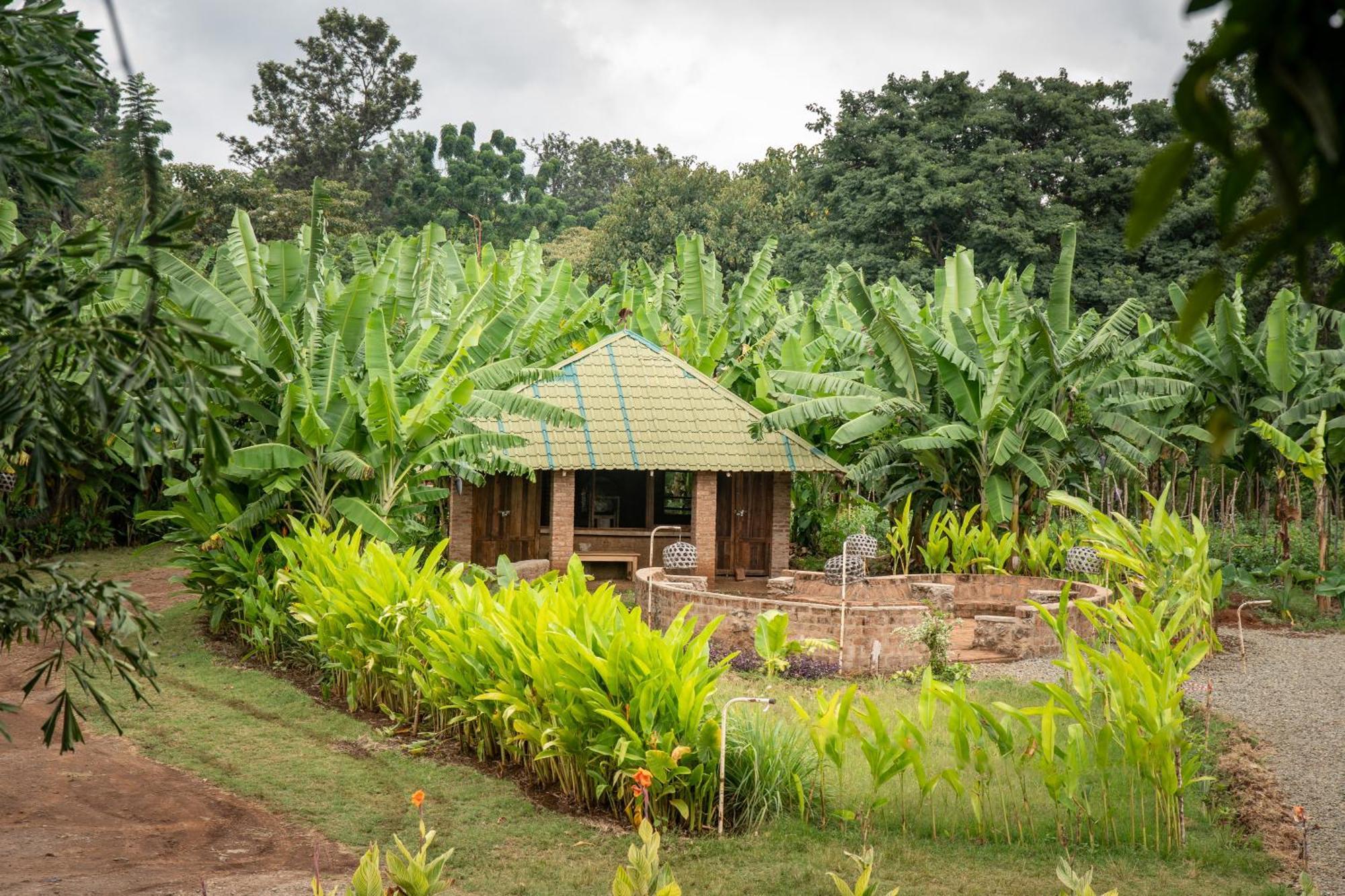 Mount Kilimanjaro 360 View Cottage Uru Exteriör bild