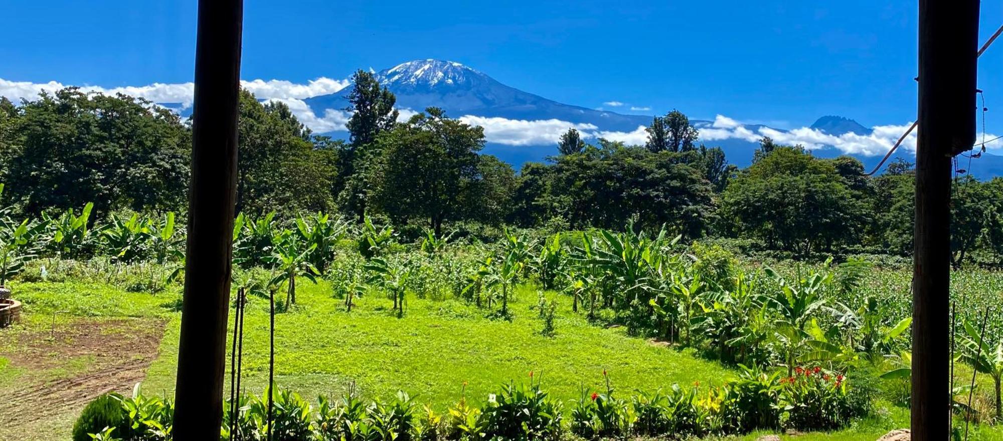 Mount Kilimanjaro 360 View Cottage Uru Exteriör bild