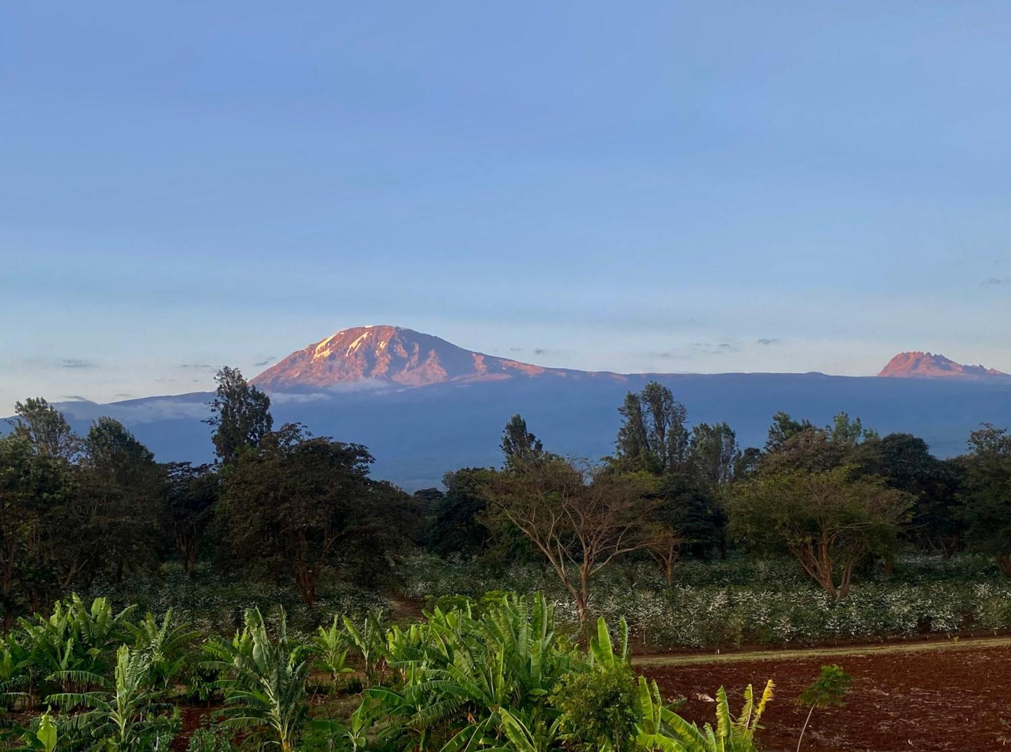 Mount Kilimanjaro 360 View Cottage Uru Exteriör bild