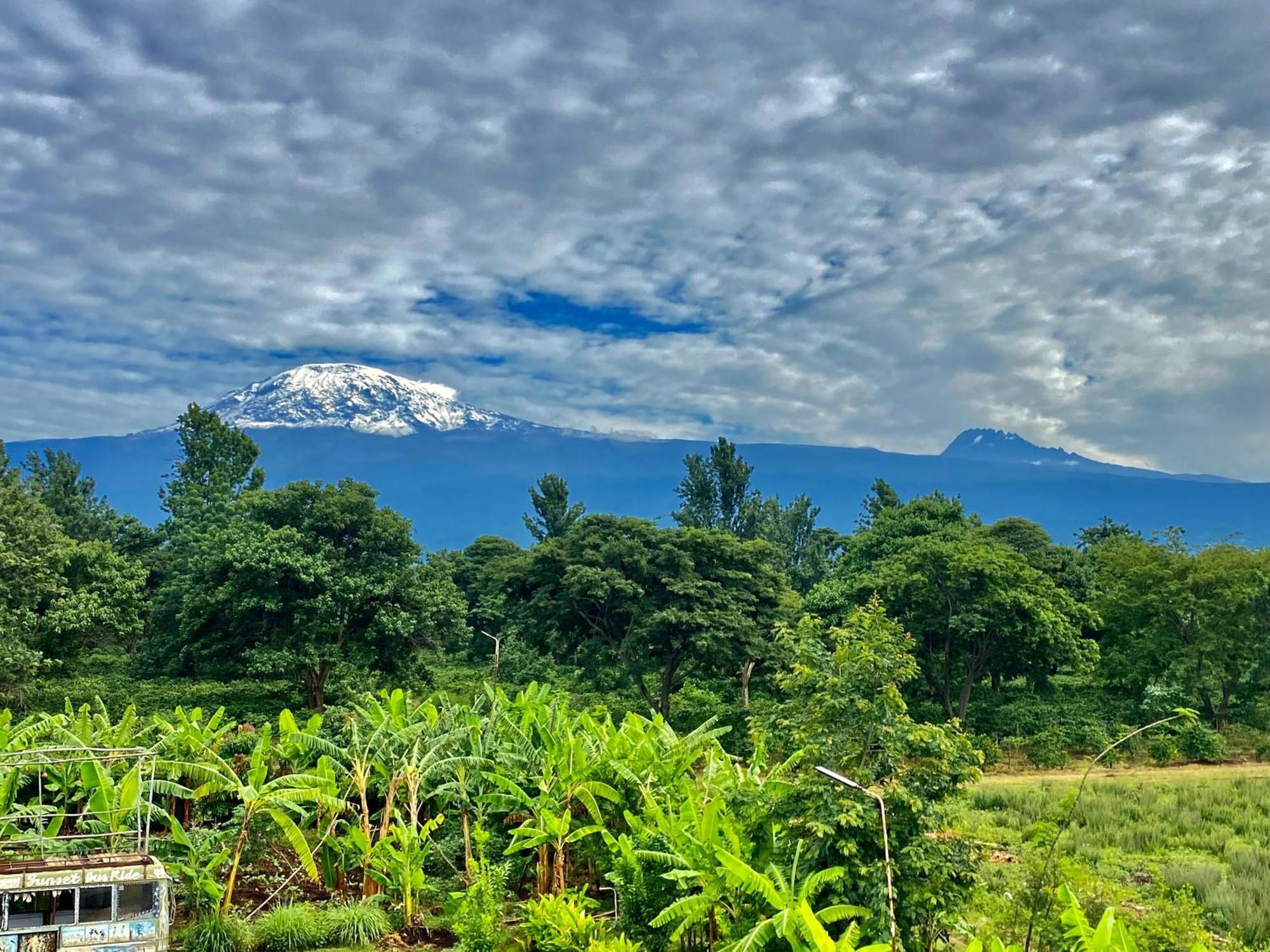 Mount Kilimanjaro 360 View Cottage Uru Exteriör bild